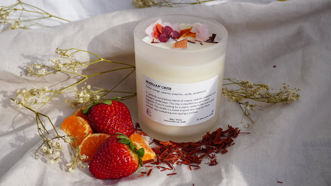XL BRAZILIAN CRUSH DIVINE AMBIENCE CANDLE
