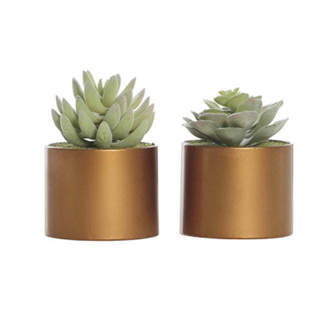 ARTIFICIAL SUCCULENT IN COPPER POT
